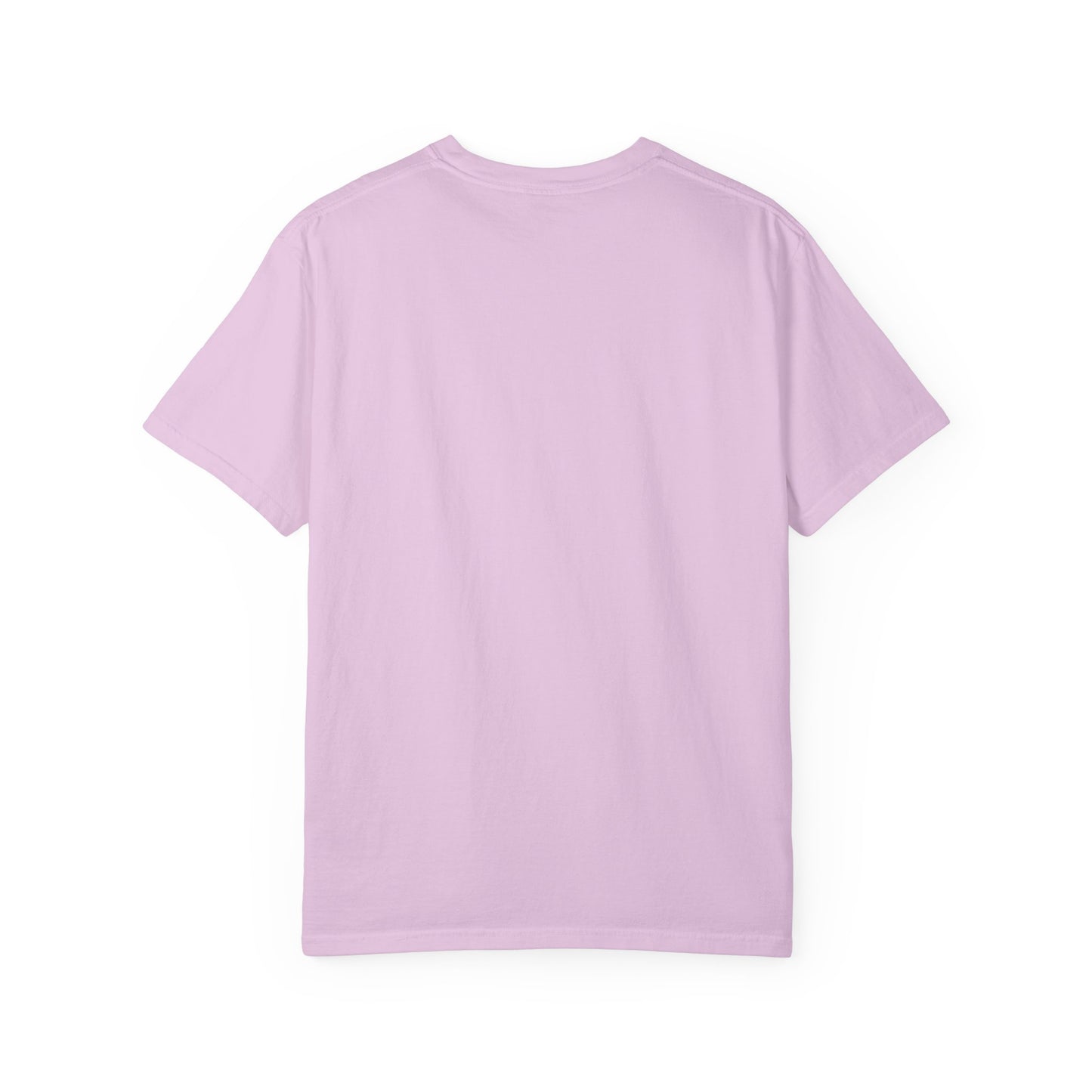 Run Free Horse Comfor colors Unisex Garment-Dyed T-shirt